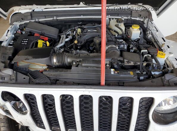 1C6HJTFG2PL528547 2023 JEEP GLADIATOR Белый Вид задней части салона