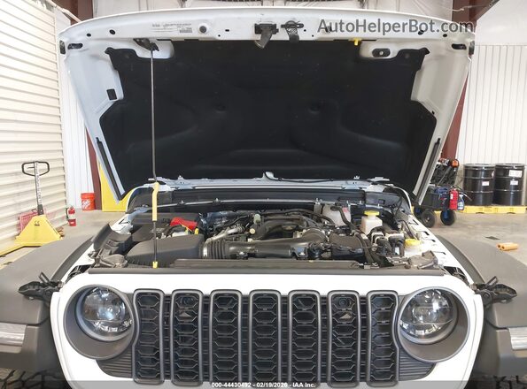 1C6RJTEG5TL151440 2026 JEEP GLADIATOR Белый Вид сзади