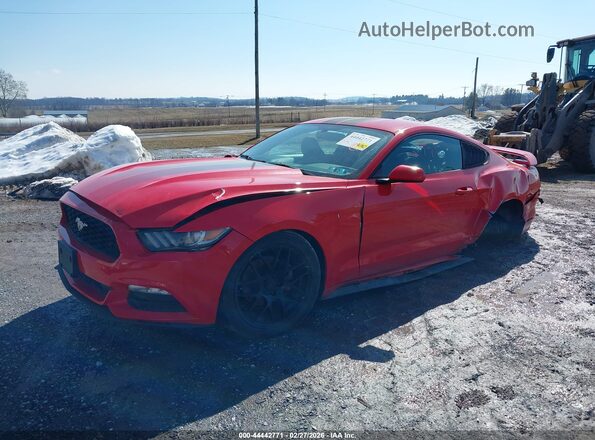 1FA6P8AM6H5322586 2017 FORD MUSTANG Красный Вид спереди