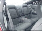 2017 Ford Mustang V6 Красный vin: 1FA6P8AM6H5322586