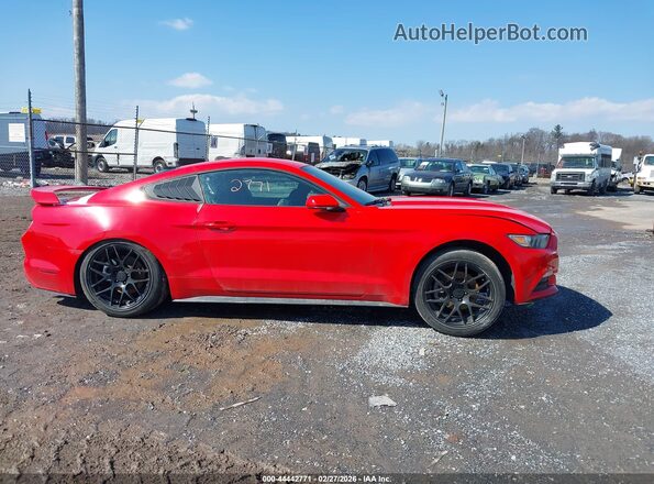 1FA6P8AM6H5322586 2017 FORD MUSTANG Красный Вид задней части салона