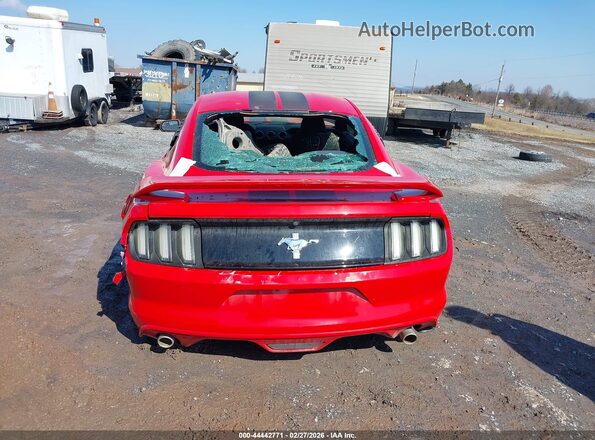 1FA6P8AM6H5322586 2017 FORD MUSTANG Красный 