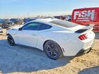 2025 Ford Mustang Gt Белый vin: 1FA6P8CF0S5405064