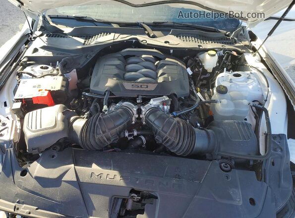 1FA6P8CF0S5405064 2025 FORD MUSTANG Белый Вид задней части салона