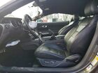 2019 Ford Mustang Gt Gray vin: 1FA6P8CF8K5141558