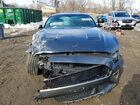 2019 Ford Mustang Gt Gray vin: 1FA6P8CF8K5141558