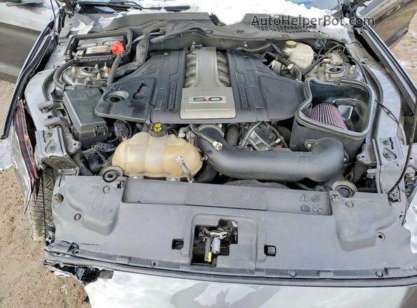 1FA6P8CF8K5141558 2019 FORD MUSTANG Gray Սալոնի հետևի տեսք
