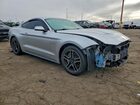 2019 Ford Mustang Gt Silver vin: 1FA6P8CF8K5161924