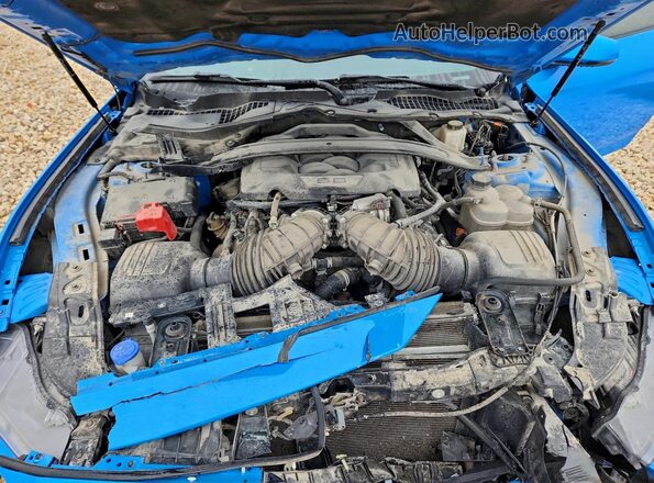 1FA6P8CFXR5404014 2024 FORD MUSTANG Синий Вид задней части салона