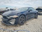 2022 Ford Mustang Black vin: 1FA6P8TH1N5141682