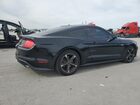 2019 Ford Mustang Black vin: 1FA6P8TH3K5114558