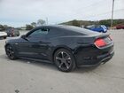 2019 Ford Mustang Black vin: 1FA6P8TH3K5114558