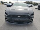 2019 Ford Mustang Black vin: 1FA6P8TH3K5114558