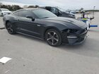 2019 Ford Mustang Black vin: 1FA6P8TH3K5114558