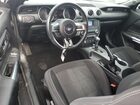 2019 Ford Mustang Black vin: 1FA6P8TH3K5114558