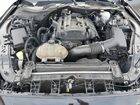 2019 Ford Mustang Black vin: 1FA6P8TH3K5114558