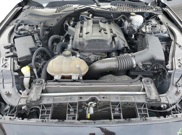1FA6P8TH3K5114558 2019 FORD MUSTANG Black Widok wnętrza z tyłu