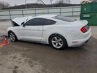 2019 Ford Mustang White vin: 1FA6P8TH3K5158074
