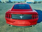 2019 Ford Mustang Red vin: 1FA6P8TH4K5201532