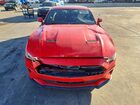 2019 Ford Mustang Red vin: 1FA6P8TH4K5201532