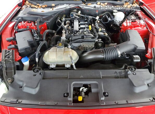 1FA6P8TH5M5102530 2021 FORD MUSTANG Красный Вид задней части салона