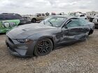 2023 Ford Mustang Gray vin: 1FA6P8TH5P5108705
