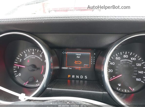 1FA6P8TH5P5113046 2023 FORD MUSTANG Серебряный Вид задних сидений