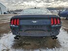 2022 Ford Mustang Черный vin: 1FA6P8TH8N5131229