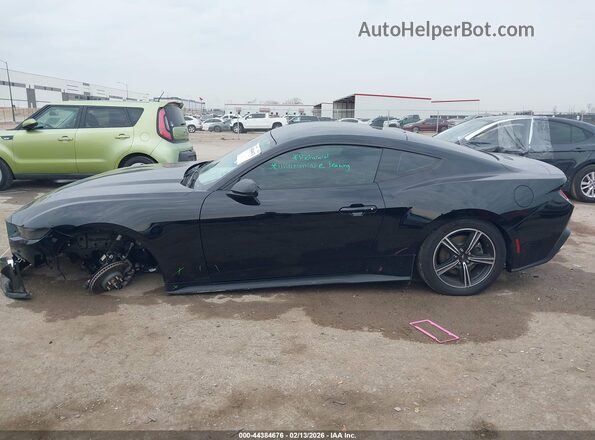 1FA6P8TH8S5124194 2025 FORD MUSTANG Черный Вид задней части салона