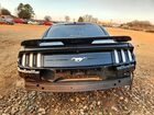 2019 Ford Mustang Black vin: 1FA6P8THXK5152319