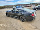 2019 Ford Mustang Черный vin: 1FA6P8THXK5205052