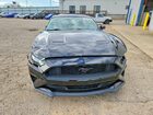 2019 Ford Mustang Черный vin: 1FA6P8THXK5205052