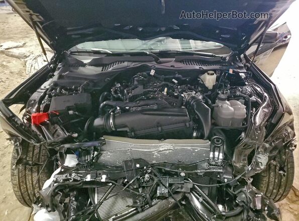 1FA6P8THXT5101534 2026 FORD MUSTANG Черный Вид задней части салона