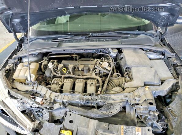 1FADP3K28GL403624 2016 FORD FOCUS Серый Вид задней части салона