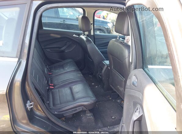 1FADP5CU2GL119773 2016 FORD C-MAX ENERGI Gray Vista de la etiqueta del VIN