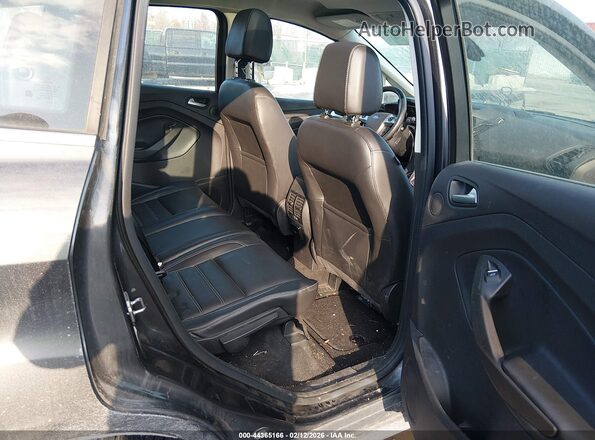 1FADP5DU3HL113674 2017 FORD C-MAX HYBRID Gray Vista de la etiqueta del VIN