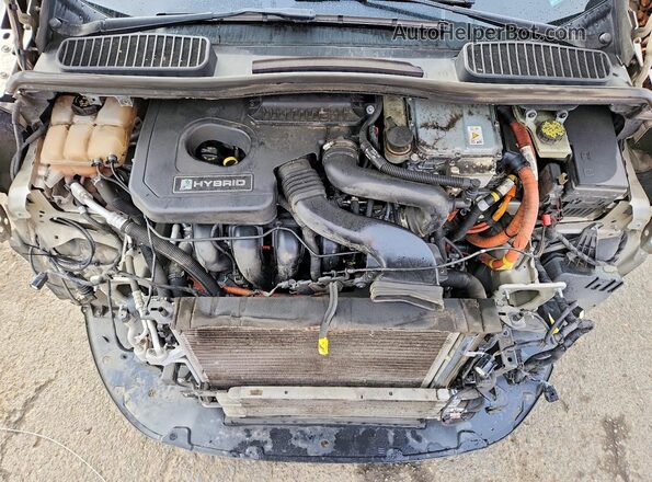 1FADP5DU6JL105607 2018 FORD C-MAX Кремовый Вид задней части салона