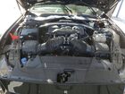 2024 Ford Mustang Gt Черный vin: 1FAGP8FF9R5125461