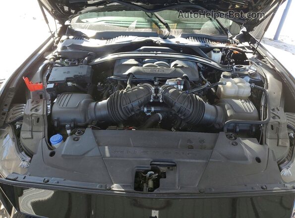 1FAGP8FF9R5125461 2024 FORD MUSTANG Черный Вид задней части салона