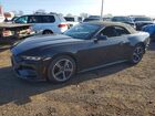 2024 Ford Mustang Black vin: 1FAGP8UH5R5136994