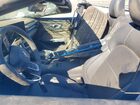 2026 Ford Mustang Blue vin: 1FAGP8UHXT5109491