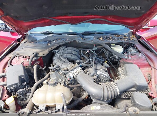 1FATP8EM5G5246970 2016 FORD MUSTANG Красный Вид сзади