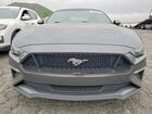 2019 Ford Mustang Gt Gray vin: 1FATP8FF9K5171876