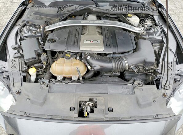1FATP8FF9K5171876 2019 FORD MUSTANG Gray Widok wnętrza z tyłu