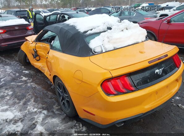 1FATP8UH2J5156381 2018 FORD MUSTANG Оранжевый Вид задней части салона