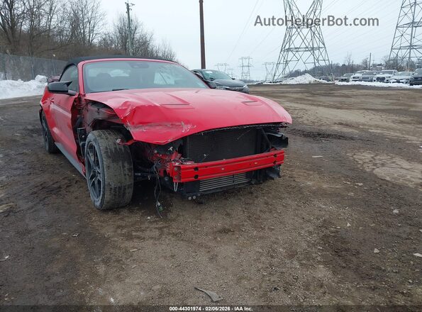 1FATP8UH3M5115956 2021 FORD MUSTANG Red Вид спереду