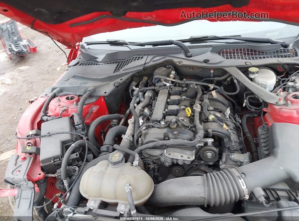 1FATP8UH3M5115956 2021 FORD MUSTANG Red Вид ззаду