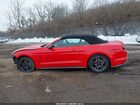 2021 Ford Mustang Ecoboost Premium Red vin: 1FATP8UH3M5115956