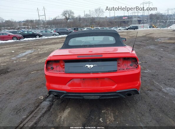 1FATP8UH3M5115956 2021 FORD MUSTANG Red 
