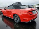2019 Ford Mustang Red vin: 1FATP8UH4K5104610